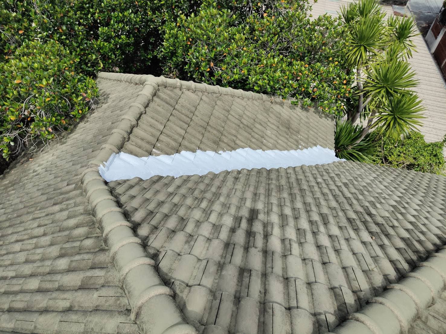 รูปภาพ 5